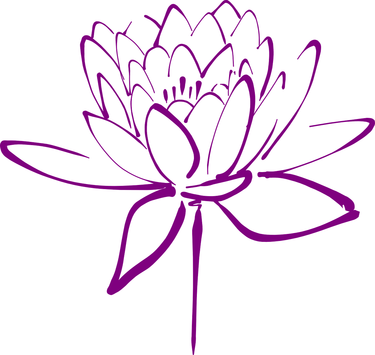 lotus, flower, blossom-307357.jpg